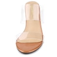 thumbnail image 2 of BLISSFUL STEP Women's Clear Slide Stiletto Heel Clear Sandals, 2 of 6
