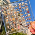 thumbnail image 5 of Clear Acrylic Magnetic Display Box Transparent Storage Showcase Dustproof Case for Collectibles and Decor (Square, 64 compartments), 5 of 6