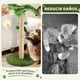 thumbnail image 5 of Poste Rascador para Gatos, Poste Rascador Sisal con Cuerda y Bola Colgante, Diseño Simple para Gatos Pequeños de Interior (Verde, Marrón, 63cm H), 5 of 7