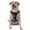 With Accessories, variant on Vsdgher Feathered Wolf Pattern Dog Harness,No Pull Pet Harness with Soft Padded Handle,Adjustable Reflective Vest with 2 Buckles,4 Slide Buckles,S-XL Medium