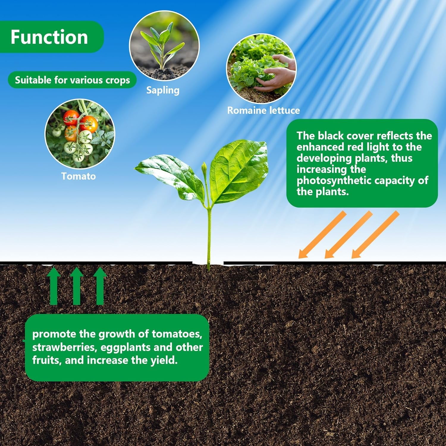VividGarden Perforated Non-Woven Weed Barrier Fabric, 2.62 ft Wide And 45 ft Long, Includes 12 Premium garden stakes