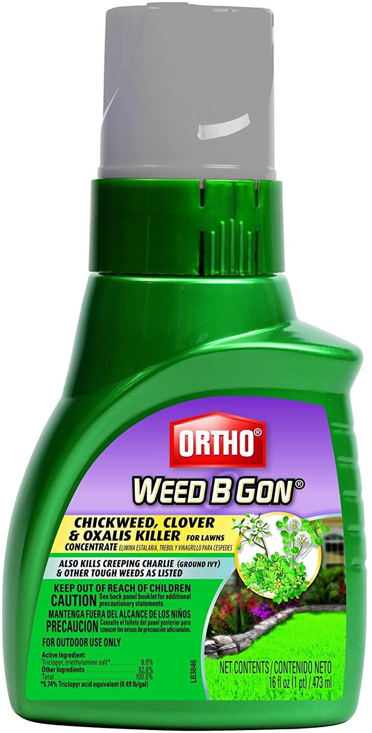 Ortho Weed B Gon Chickweed Concentrate Clover & Oxalis Killer For Lawn ...