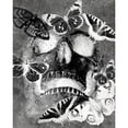 thumbnail image 3 of Kimberly, Allen 15x18 Black Modern Framed Museum Art Print Titled - Flower Skull White, 3 of 5
