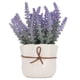 thumbnail image 2 of Mini Macetas De Plantas Artificiales, Plantas En Macetas Falsas Realistas, Decoración Del Hogar, Interior Y Exterior, 2 of 7