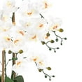 thumbnail image 5 of Vanity Art 27.95" H Phalaenopsis Orchids Floral Arrangement in Bamboo Woven Pot, 5 of 7
