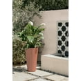thumbnail image 6 of Veradek Column Series 26" Tall Plastic-Stone Planter - (Terracotta), 6 of 9