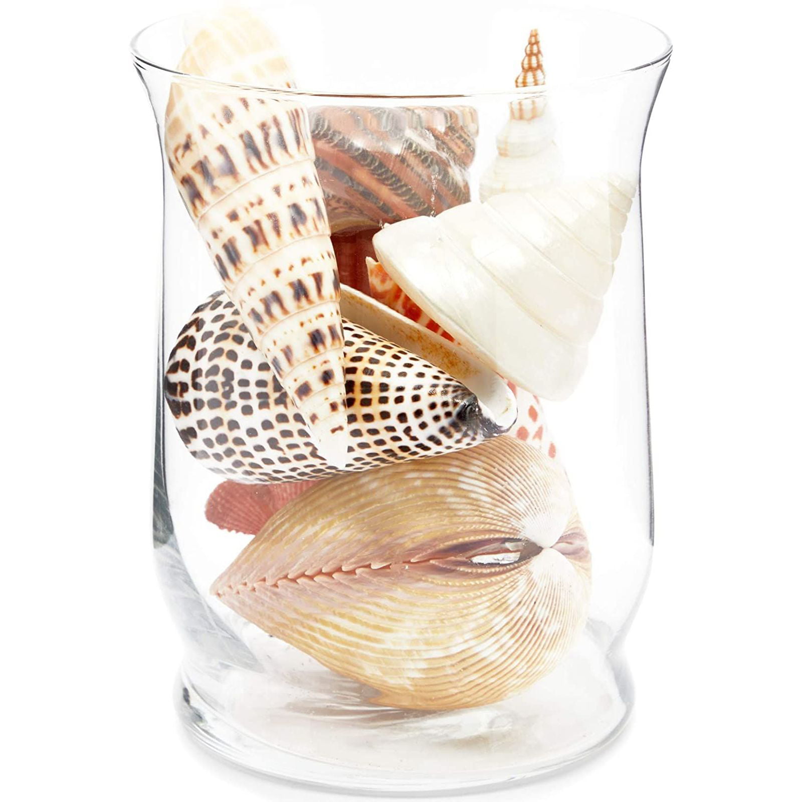 8 Pieces Sea Shells for Crafting Artificial Sea Shells Large Multi-Styles  Resin White Seashell Decor for Aquarium Scallop Starfish Shells Ornaments