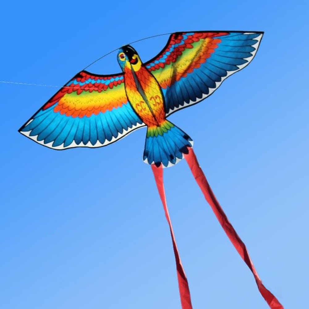 Hapeisy 3D Parrots Design Outdoor Toys Flying Kite Kid Adults Children