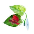 thumbnail image 6 of Betta Leaf Pad Hammock with Suction Cup Double Plastic Leaves Spawning Grounds Breeding Resting Bed 1 Pack / 2 Pack, 6 of 6
