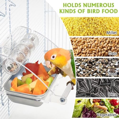 Bird Feeder for Cage with Rotating Foraging Toy No Mess Acrylic Hanging Food & Water Dispenser with Stainless Steel Bowl & Anti-Slip Perch Stand for Parrot, Budgie, Parakeet, Lovebird, Canary