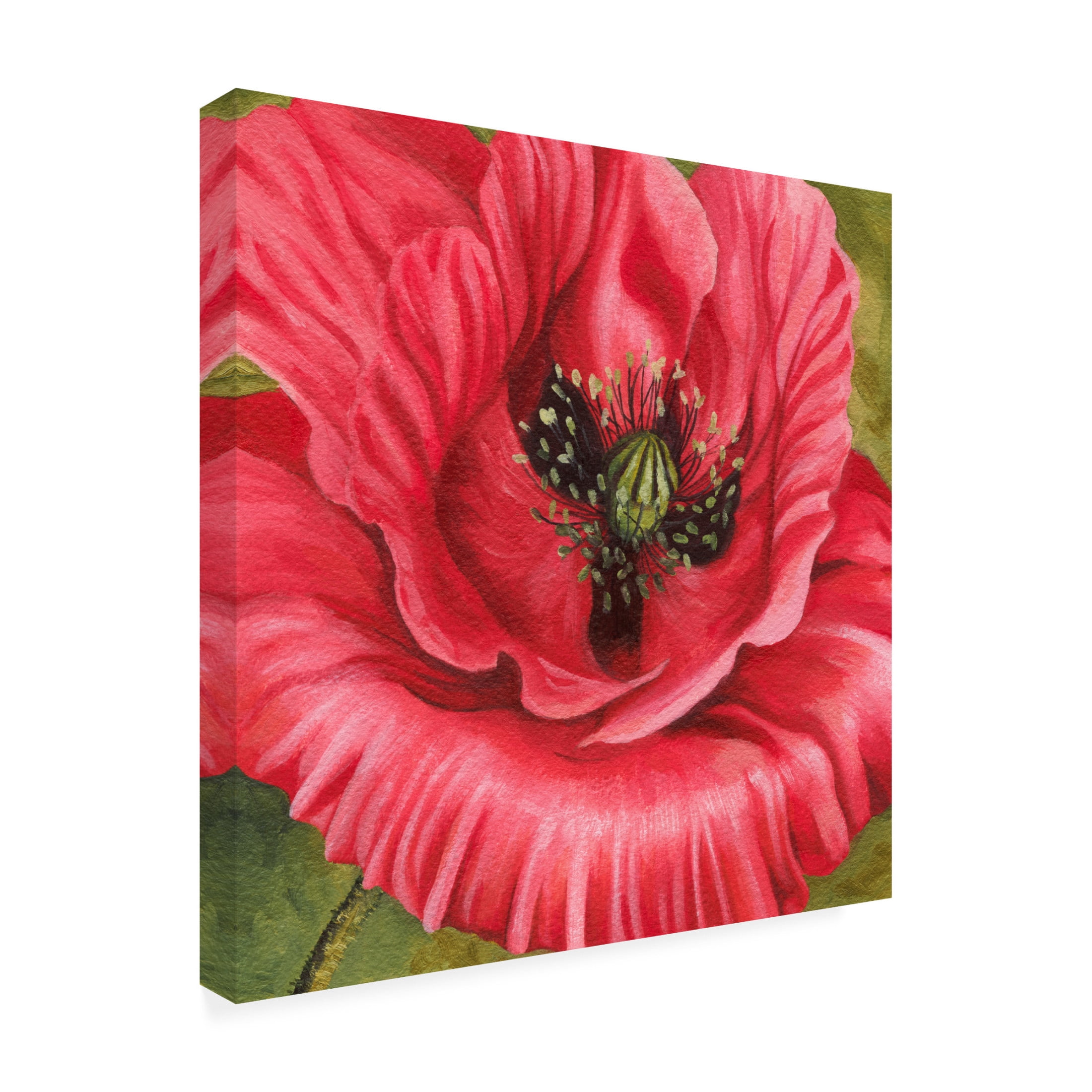 Trademark Fine Art Grace Popp Vivid Poppy I Canvas Wall Art