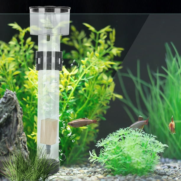 LLC Acrylic Fish Tank Protein Skimmer Separator with IQ5 Aquarium