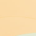 thumbnail image 5 of Bxsruta Women's Seamless Low Rise Breathable Nylon Briefs with Cotton Gusset for Daily Wear and Workout, 5 of 7