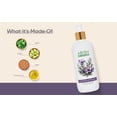 thumbnail image 2 of Anti Dandruff Shampoo, 2 of 7