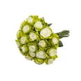 thumbnail image 2 of Painted Marshmallow Roses 100 Stems of 50 cm White & Lime Green Farm Direct Fresh Cut Flowers by Bloomingmore, 2 of 7