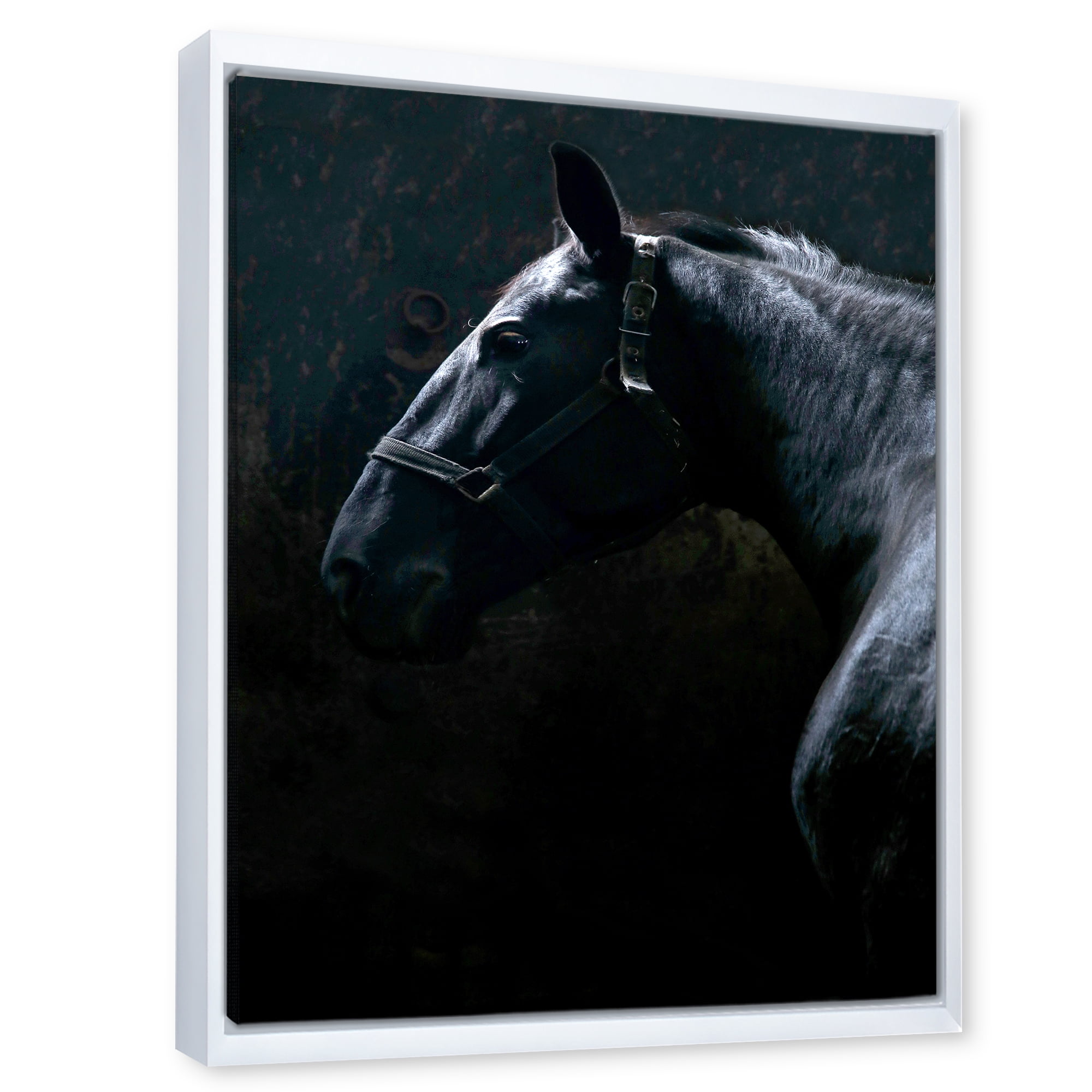 Designart 'Close Up Of Thoroughbred Nonius Stallion Horse II' Farmhouse Framed Canvas Wall Art Print
