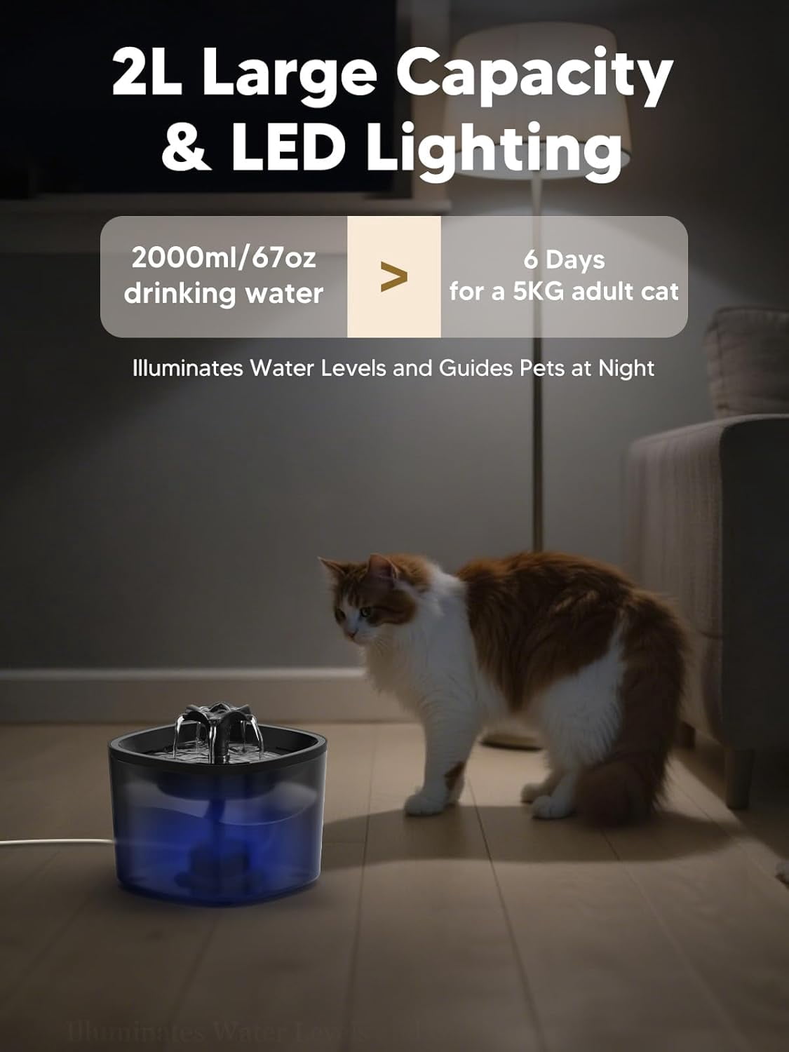 Automatic Cat Feeder and Water Fountain, 4L/16Cups Pet Dry Food Dispenser 2L Water Dispenser, Locking Lid, Programmable Timer 6 Daily Meals, 10s Voice Recorder, Cat Accessories for Puppy Kitten