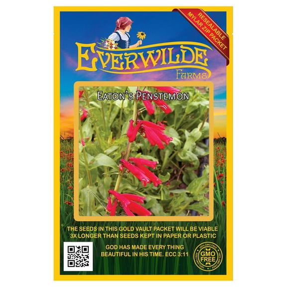 Everwilde Farms - 800 Eaton's Penstemon Native Wildflower Seeds - Gold Vault Seed Packet
