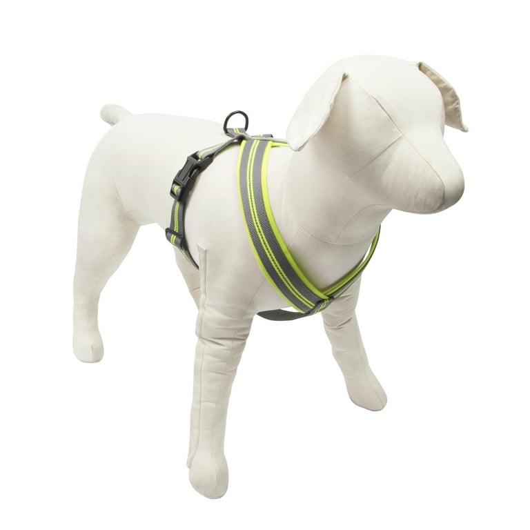 Vibrant life reflective dog harness cheap
