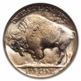 thumbnail image 3 of 1937-S Buffalo Nickel MS-66 NGC, 3 of 3