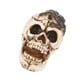 thumbnail image 2 of 1 adorno de cabeza de calavera para regalos de Halloween., 2 of 3
