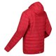 thumbnail image 4 of Regatta - Chaqueta Hillpack Con Capucha para Hombre (Rojo Oscuro) Regatta UTRG8445_darkred, 4 of 6
