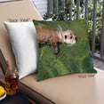 thumbnail image 1 of Ahgly Company Animals Otter Outdoor Throw Pillow, 18 inch by 18 inch, 1 of 6