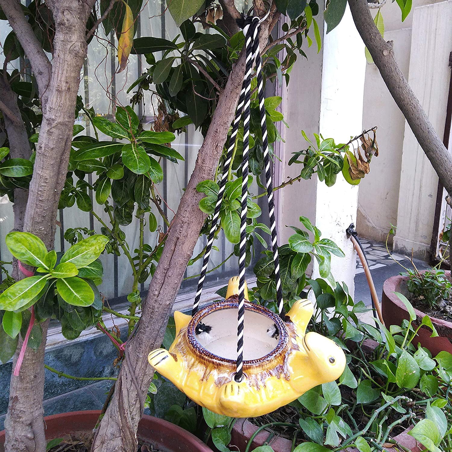 India Meets India Ceramic Hanging Planter Pot Flower Pot Indoor Planter Handicraft by Awarded Indian Artisan (Turtle)