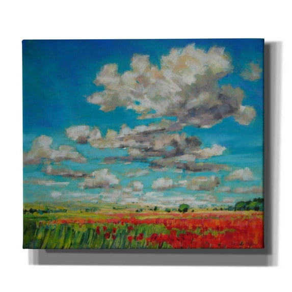 Epic Graffiti 'Summer Clouds and Poppies' by Jennifer Gardner, Canvas Wall Art, 30"x26"