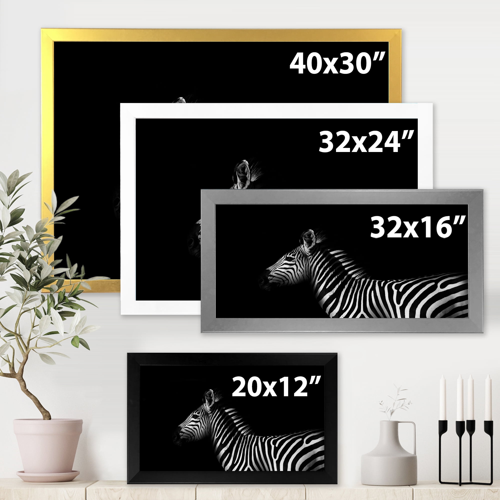 Designart 'Sideview Of Zebra In White and Black' Farmhouse Framed Art Print