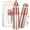 Rose Gold, variant on Hoeylife Facial Hair Remover for Women,2 in 1 Rechargeable Electric Painless Eyebrow Removal,Built-in LED Light (Rose Gold)