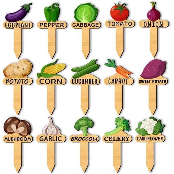 15 Pcs Plant Name Markers 15 Styles Vegetable Names and Patterns Garden Markers Wooden T Type Plant Labels