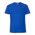 thumbnail image 1 of Fruit Of The Loom Mens Iconic Premium Ringspun Cotton T-Shirt, 1 of 3