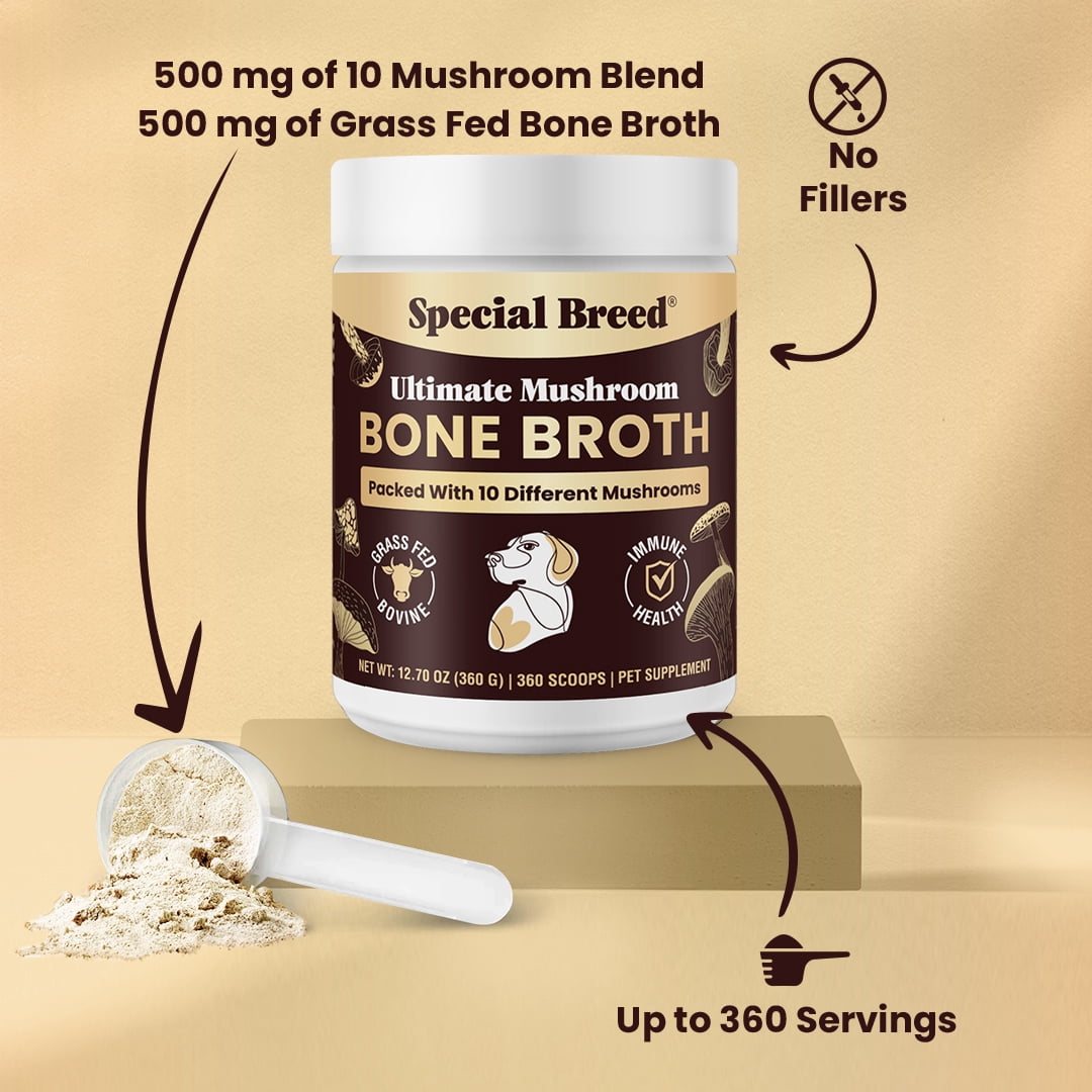 Beef Bone Broth for Dogs - High Protein Powder with Ten Organic Mushrooms & Collagen - Immune, Joint, Digestion & Cognitive Support - Tasty Dog Food Topper - Natural Hydration Booster
