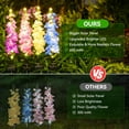 thumbnail image 5 of ¡Campaña con descuento!Luces solares decoración de jardín al aire libre, luces solares de jardín impermeables Delphinium mejoradas, luz de flores solares al aire libre para Patio, 5 of 5
