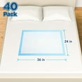 Disposable Underpads 40 Count Heavy Absorbency 24 x 36 in Quilted Incontinence Bed Pads Fluff