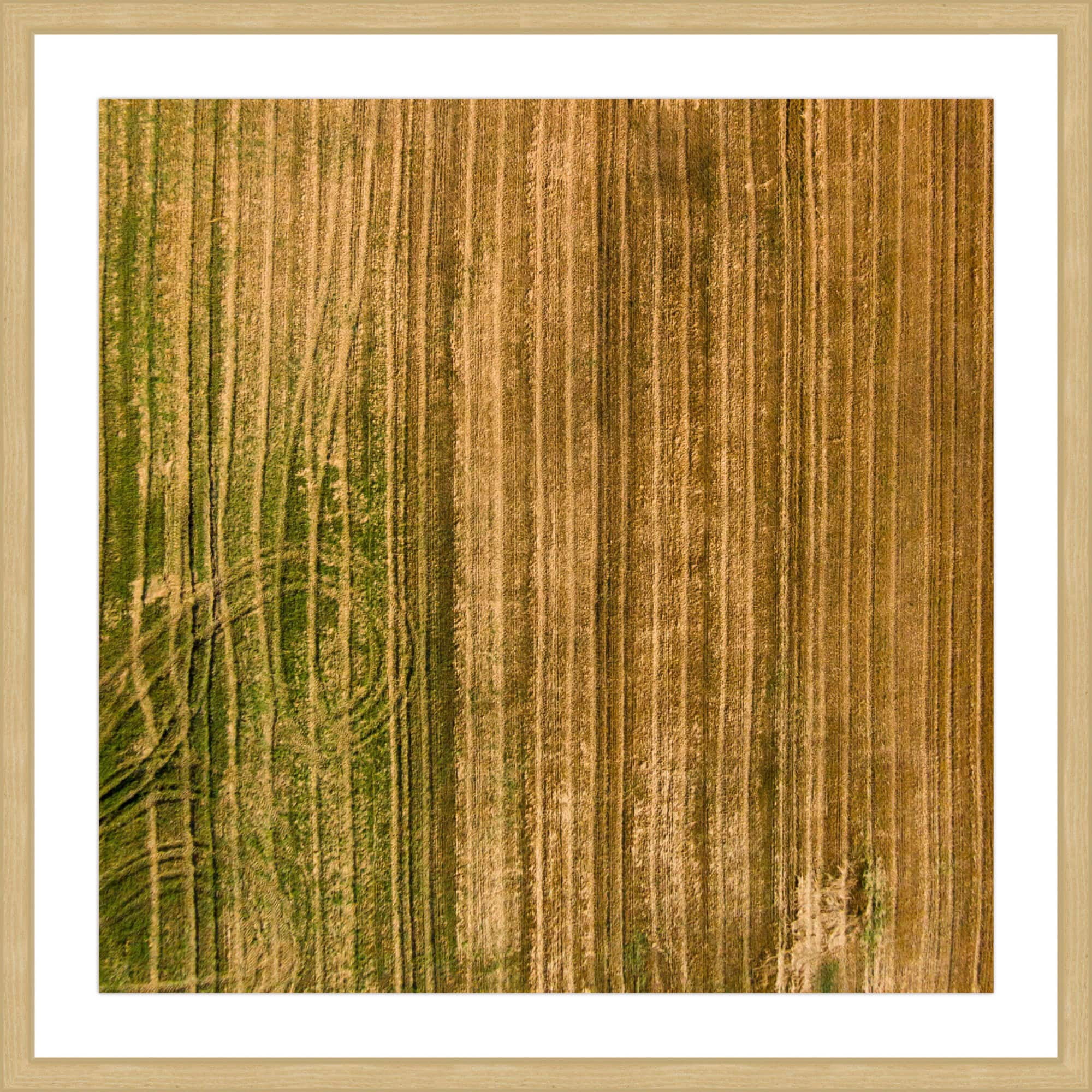 Marmont Hill "Crop Trails" by Karolis Janulis Framed Painting Print