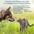thumbnail image 3 of Rx Vitamins Bio-C - Vitamin C for Dogs and Cats - with Lemon Bioflavonoids for Dog Allergy Relief - Immune Support Supplement - Promotes Dogs Healthy Coat and Skin - Joint Supplement for Dogs - 4 oz, 3 of 8
