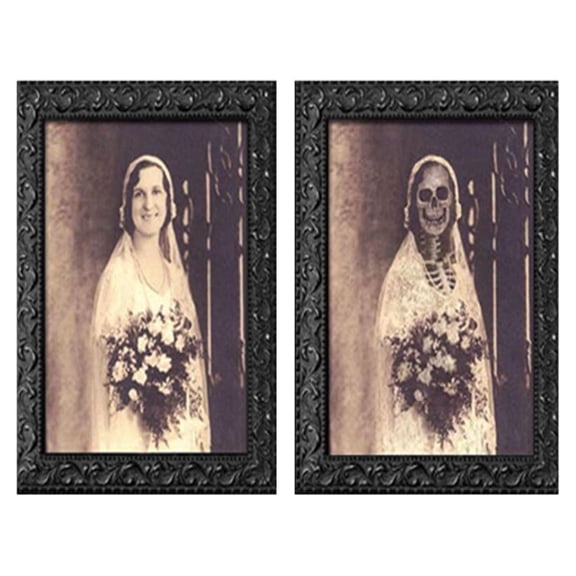 Clearance Under $2.5! 1PC 3D Lenticular Horror Picture Frame, Changing Face Wall Decor for Halloween Party, PVC, (38x25cm, A)