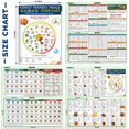 thumbnail image 2 of Tabla de alimentos para riñón Nonlae: guía de dieta renal, 2 of 6