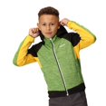 thumbnail image 4 of Regatta Boys/Girls Prenton II Hooded Soft Shell Jacket, 4 of 5