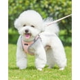 thumbnail image 2 of Enkarl Dog Harness for Small Medium Dogs No Pull, Puppy Harness and Leash Set, Easy Walk Dog Harness for Walking, Running, Training, Small Dog Harness, Medium Dog Harness (Pink, XS), 2 of 6