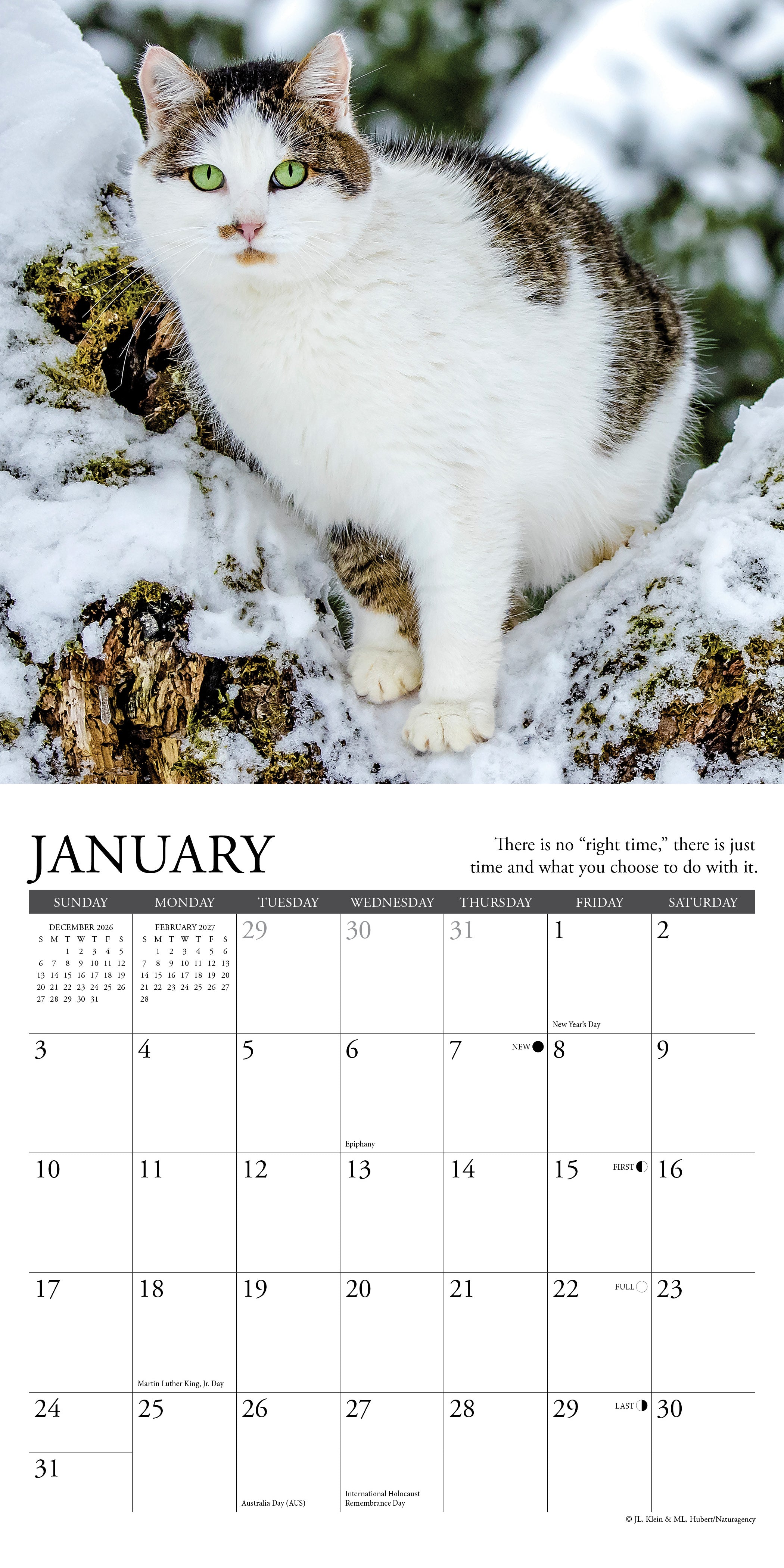 Willow Creek Press, What Cats Teach Us 2027 Mini Wall Calendar