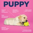 thumbnail image 4 of Vetericyn ALL-IN 1 Puppy Supplement, 90ct, 4 of 7