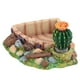 thumbnail image 1 of Plato de tazón de agua para alimentación de reptiles, tortugas, lagartos, decoración del hogar con Cactus, 1 of 9