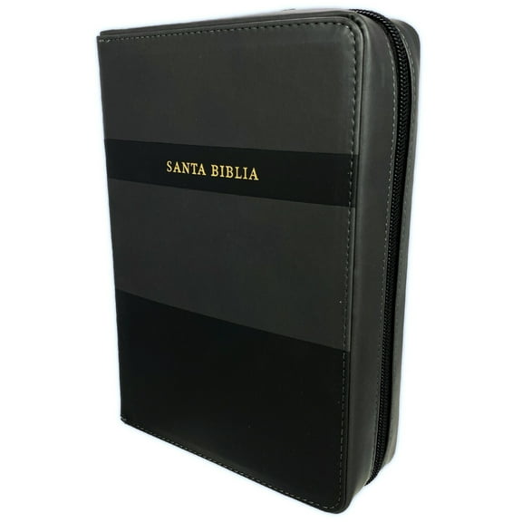 My Organizer Bible Biblia Letra Grande Con Forro Organizador RV1960 Negro Indice