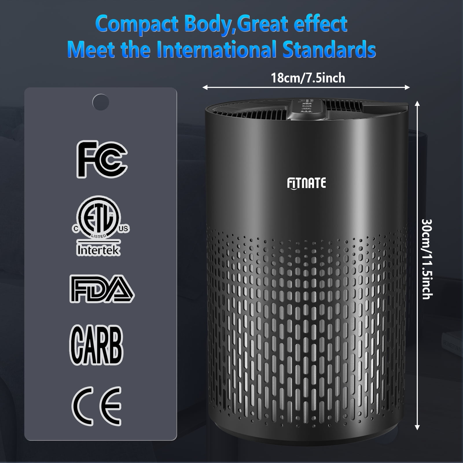 Fitnate 215 Sq Ft True HEPA Aromatherapy Air Purifier, Black