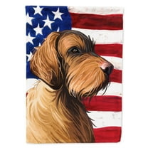 Carolines Treasures CK6758CHF Wirehaired Vizsla American Canvas House Size outdoor-flags, Multicolor