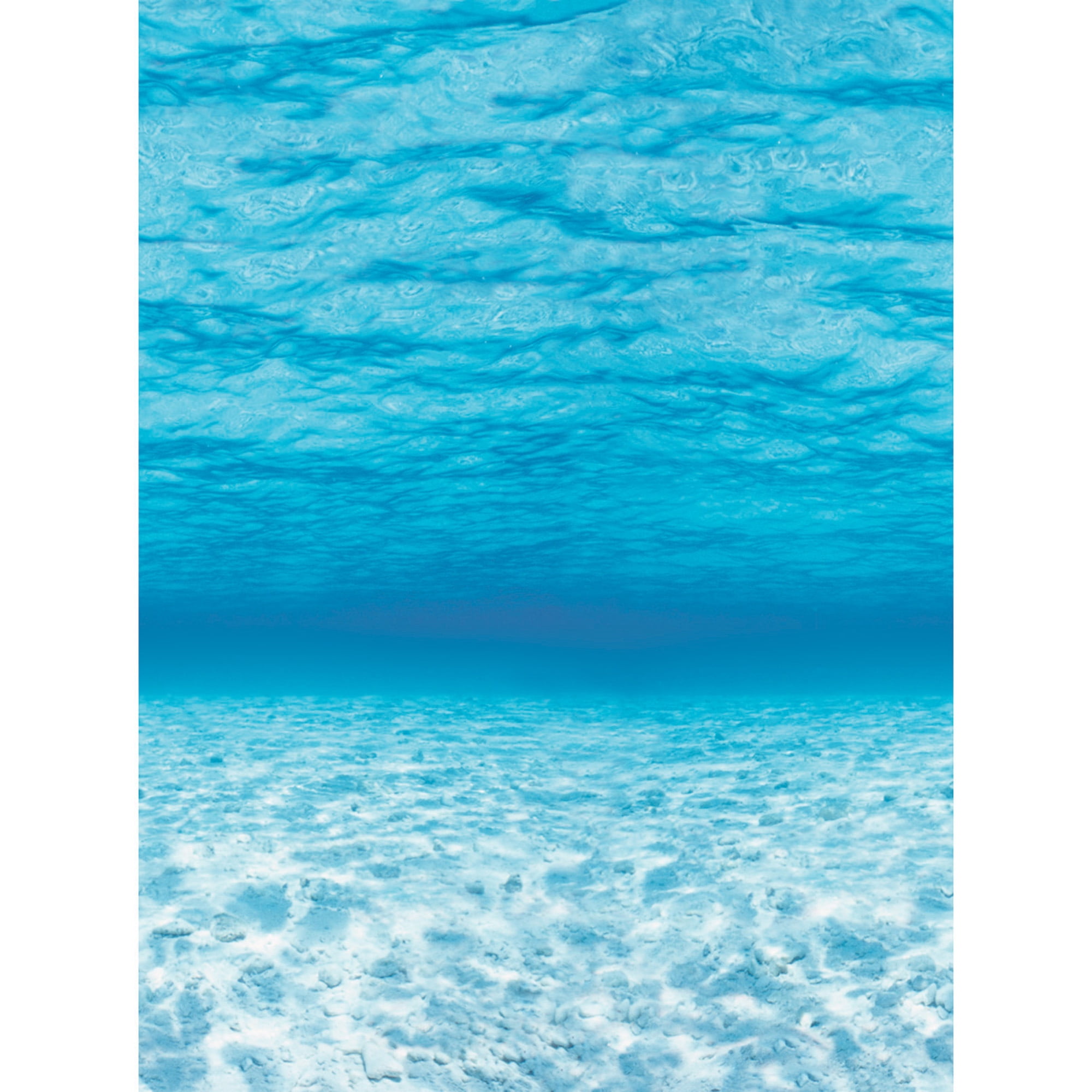 Fadeless Bulletin Board Art Paper, 48â€ x50' Roll, Under the Sea Design -  