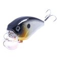 thumbnail image 4 of 3D Señuelos de Pesca de Plástico Duro Crankbaits Trucha Baja con Ganchos Pesca de Agua Dulce 08, 4 of 8